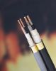 Fire resistant and Fla...