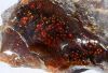 FIRE AGATE // AGATA DE...