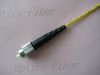 optical fiber