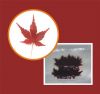 red/green maple leaf &...