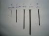 sell  common round nails