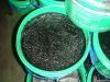 Seaweed Fertilizer