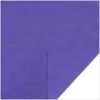 CVC interolck fabric