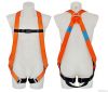 Safety Harness - 2 D Ring, Model#DHQS069