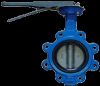 Butterfly Valve