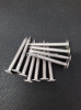 Stainless Steel Nail t...