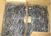 Polished Common Nail w...