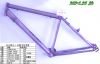 mountain bike frame