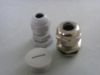 Cable Glands