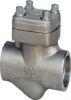 Socket Welding Check V...