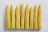 IQF Baby Corn