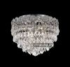 Crystal Ceiling Light ...