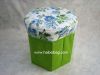 Foldable Storage Box