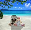 stuffed & plush toys