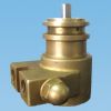 brass wate pump