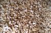 Cashew Nuts - LP (Larg...