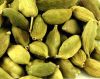 Cardamom