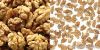 Shelled Walnut Supplie...