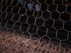 hexagonal wire netting