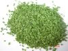 Dehydrated Chive