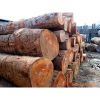 Malaysian Hardwood Rou...