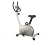 Magnetic Upright Bike