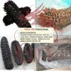 Dried Sea Cucumber: curry fish, white teat fish, sand fish, black fish