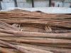Rattan cane, rattan we...