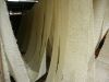 Rattan cane, rattan we...