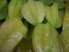 Fresh Star Fruit or Ca...