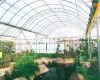 polycarbonate sheet, p...