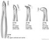 Dental Instruments