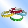 Dog Collars, Cat Collars