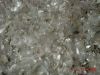 white pet flakes/ plas...