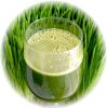 Wheat grass powder - 1...
