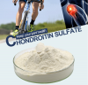 Chondroitin Sulfate Po...