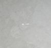 Beige Marble (new foun...