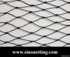 Building Bird Barrier Netting