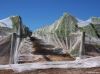 Garden Bird Netting