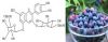 Natural Bilberry Extract Powder