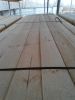 pine timber/lumber