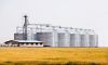 Grain Storage Silo