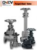 Forged Steel Valve