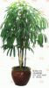 artificial trees