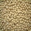 peanut kernel