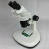 Best selling two powers stereo microscope