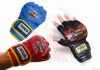 MMA GLOVE