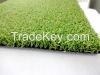 Sports Field Grass