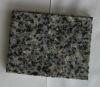 Bitu Gray stone granit...