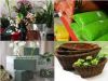 Florist Articles